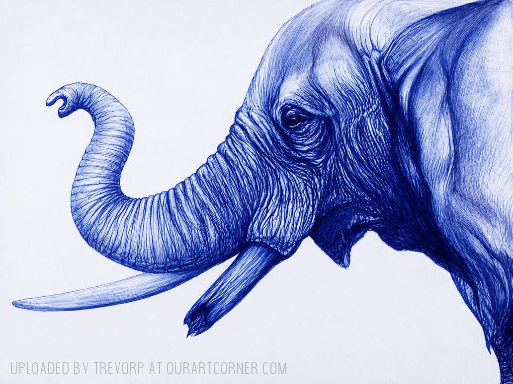BLUE-ELEPHANT