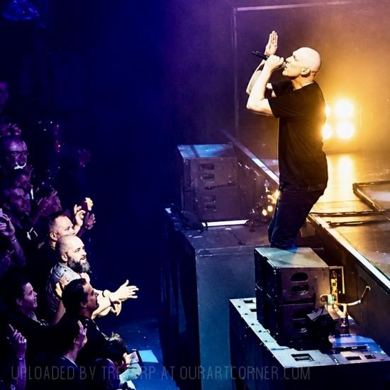 MIDNIGHT OIL - LIVE