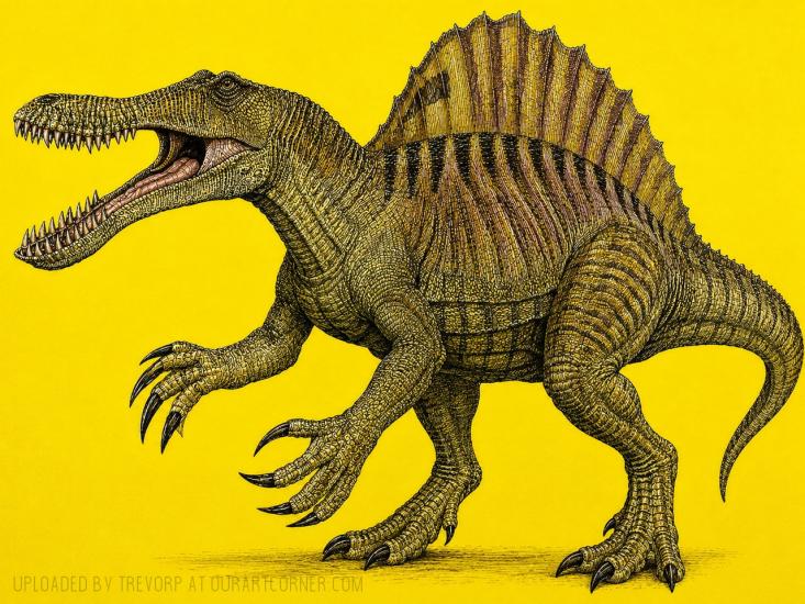Spinosaurus artwork