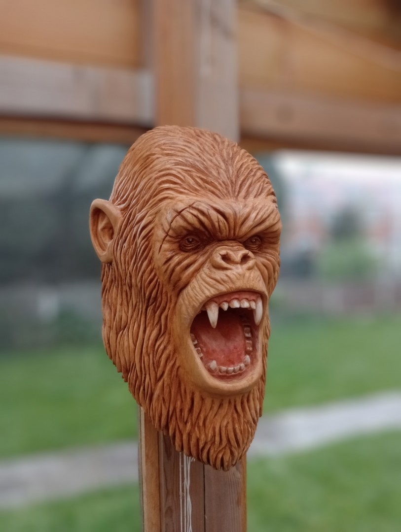 KongKing-of-the-jungle