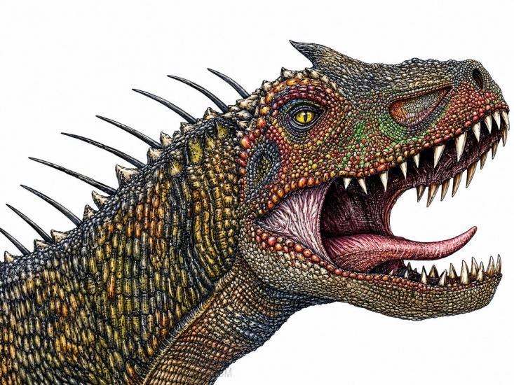 AN ENHANCED IREX