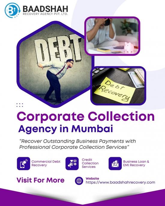 Professional Corporate Collection Services by Baad