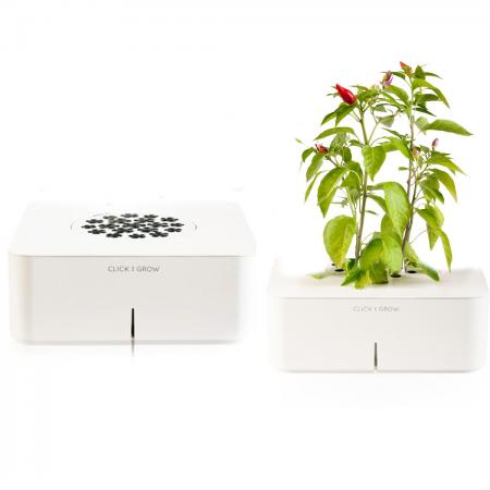 Win A Click N Grow Chilli Growing Kit Courtesy Of Find Me A Gift