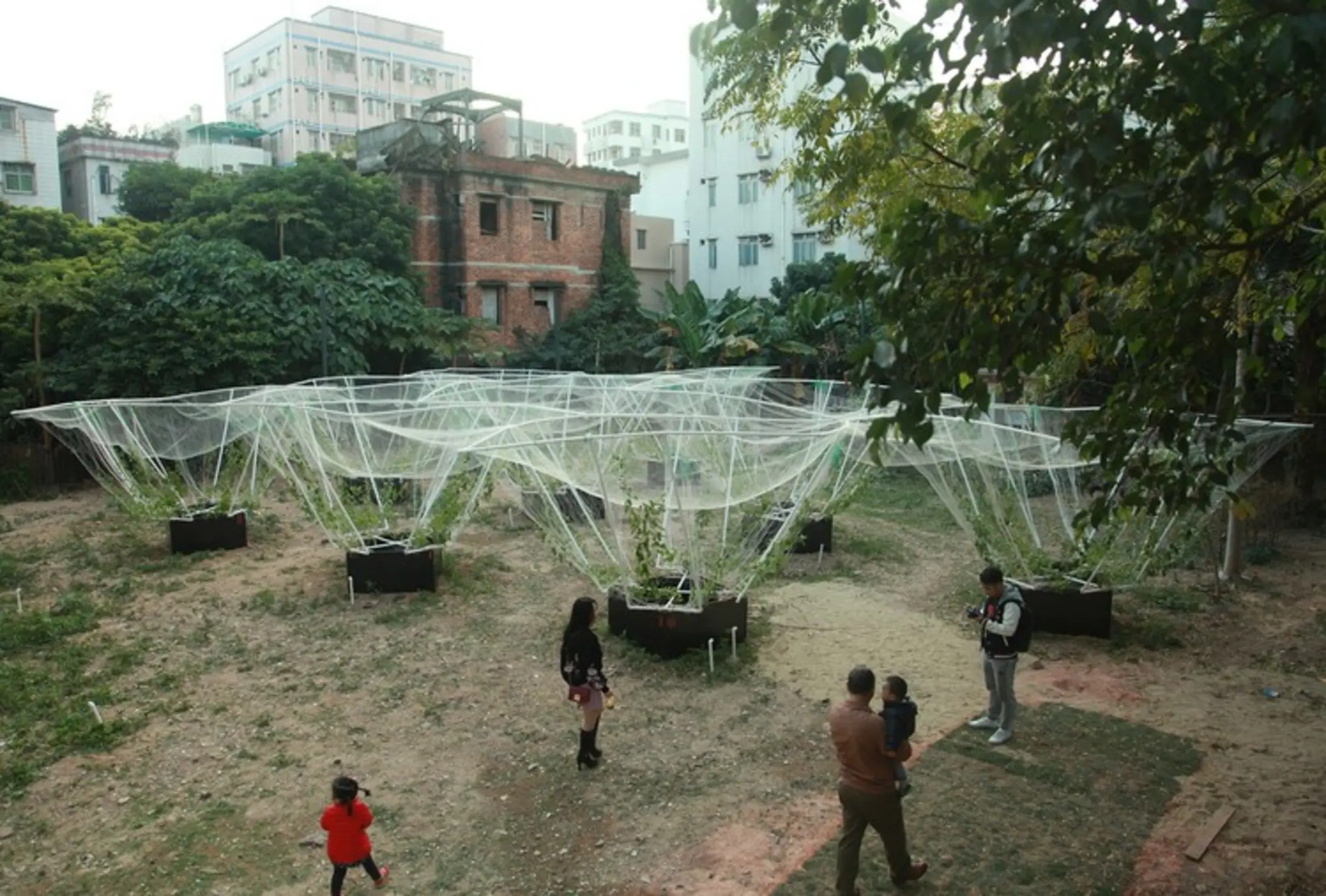Sky Farm, Shenzhen, China