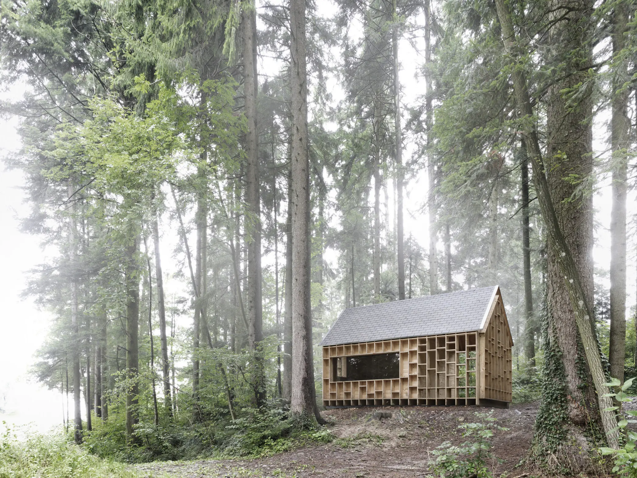 Forest Refuge, Wolfurt