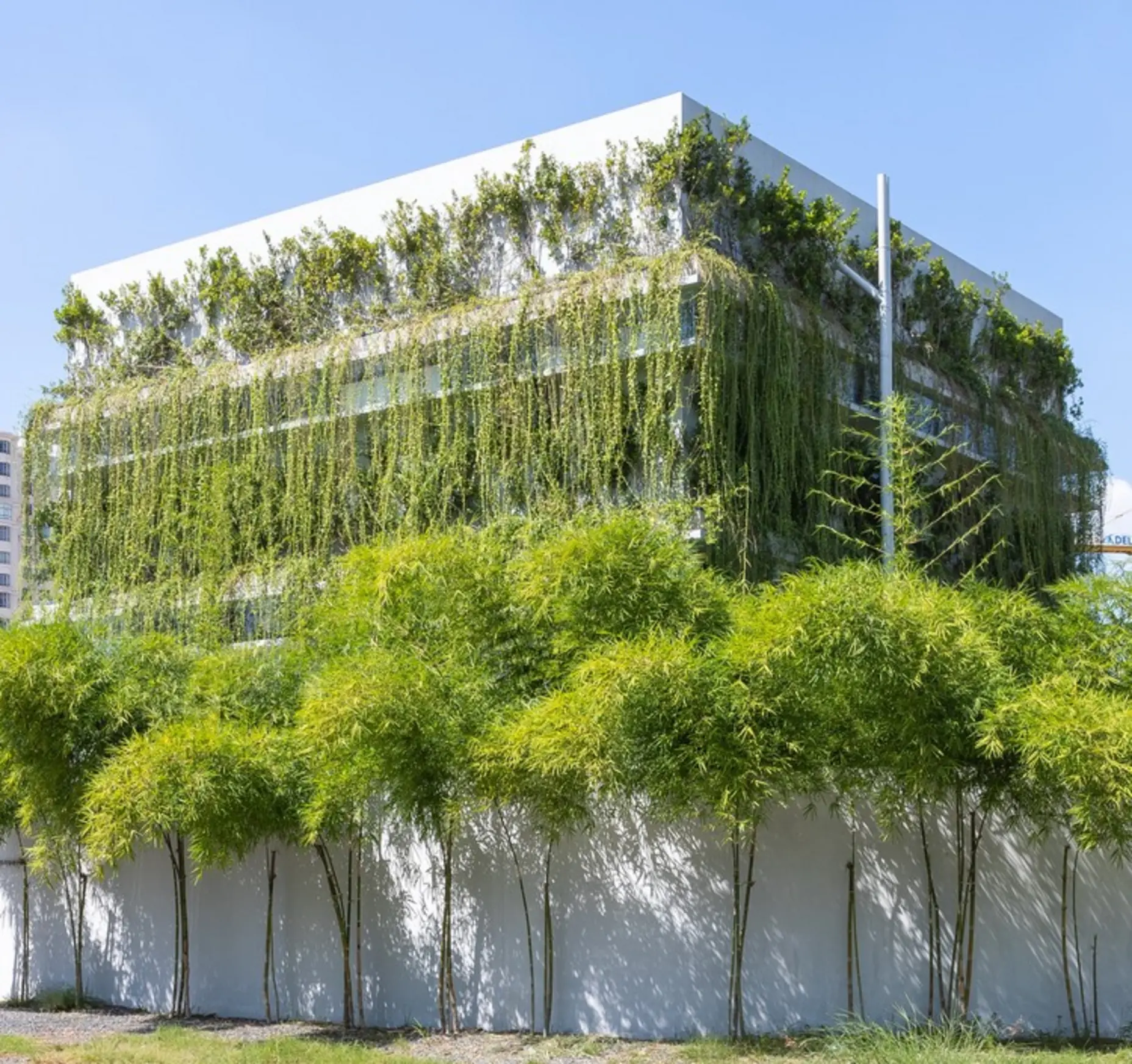 MIA Design Studio Office, Vietnam