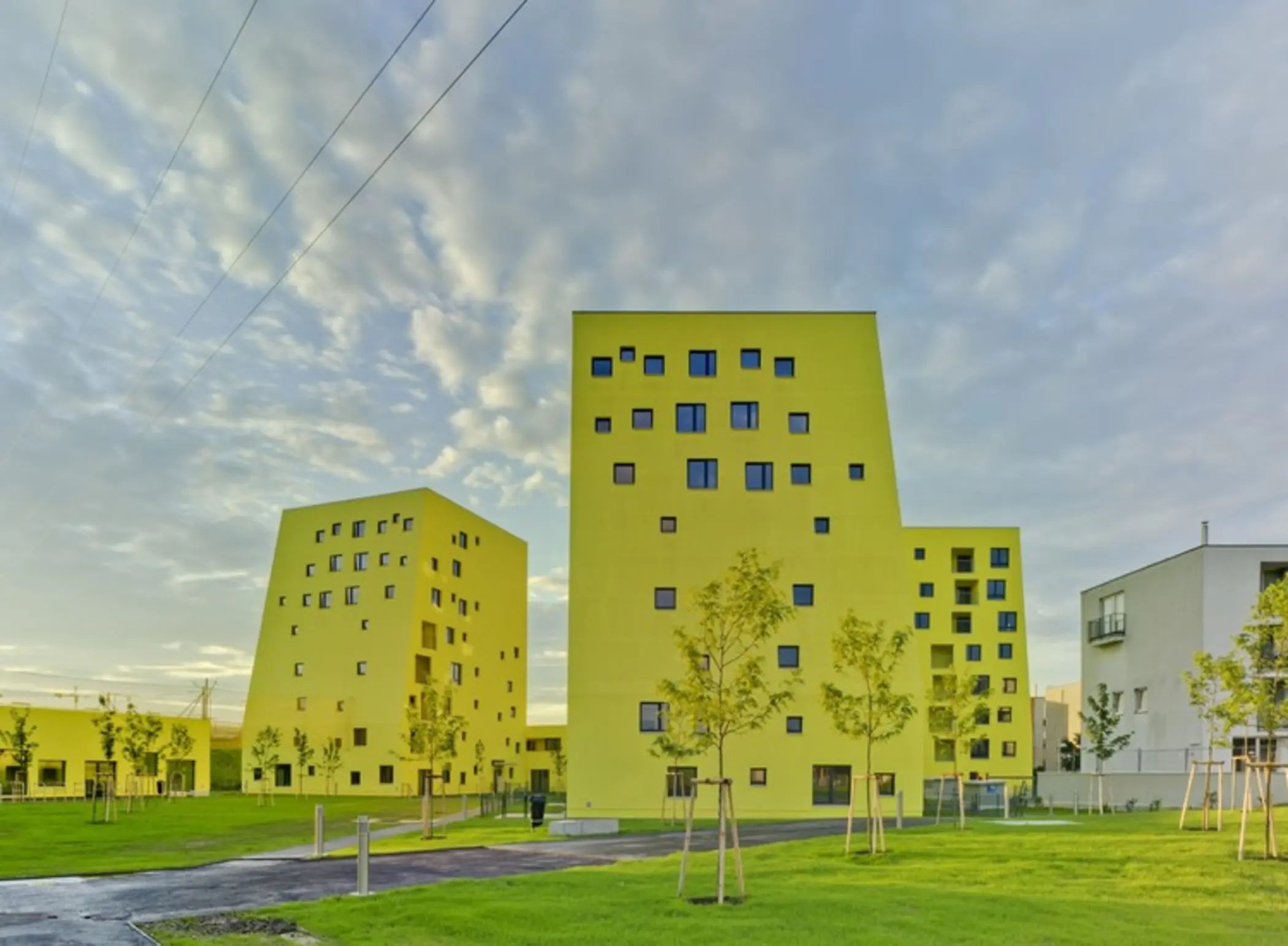 Fallow Land Project, Wien