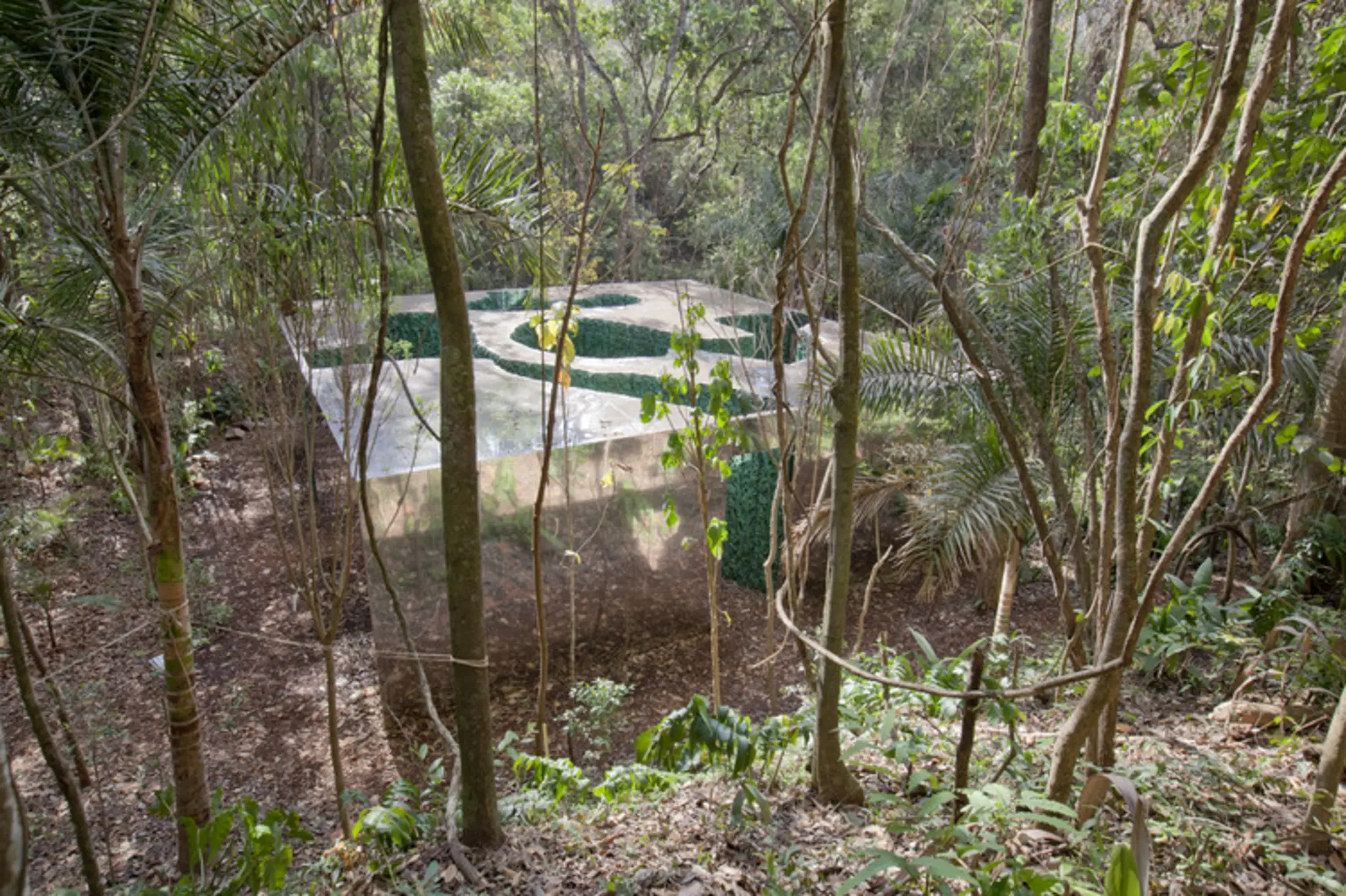 Vegetation Room Inhotim, Brumadinho, Brazil