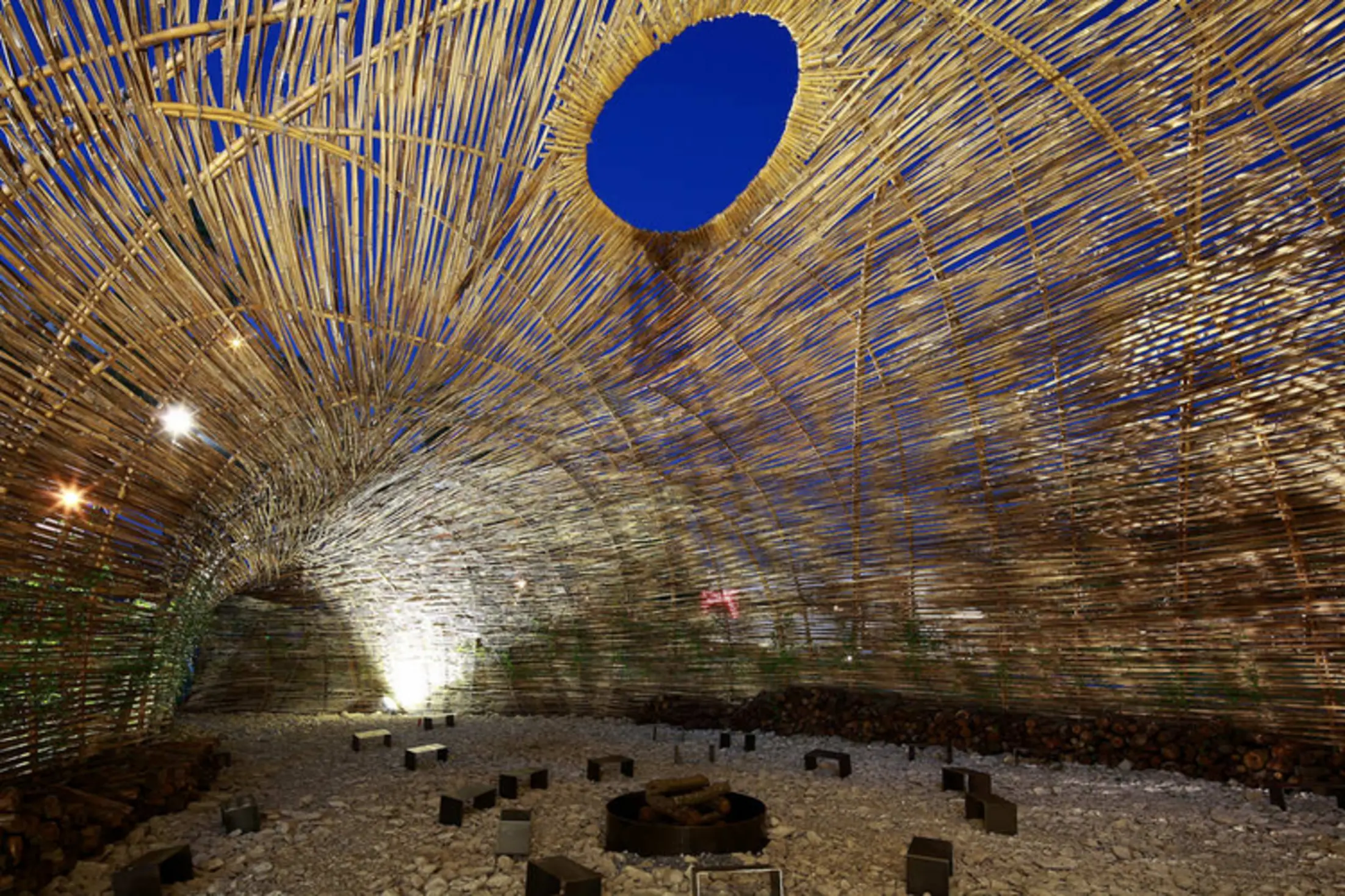 Cicada, Taipei City, Taiwan