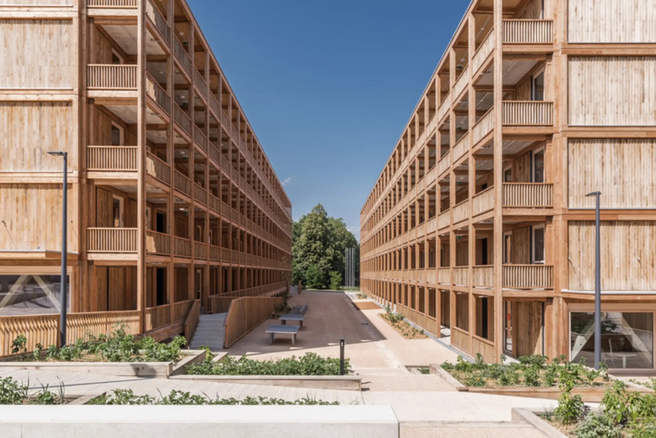 Rigot Collective Dwelling Centre, Genève, Switzerland