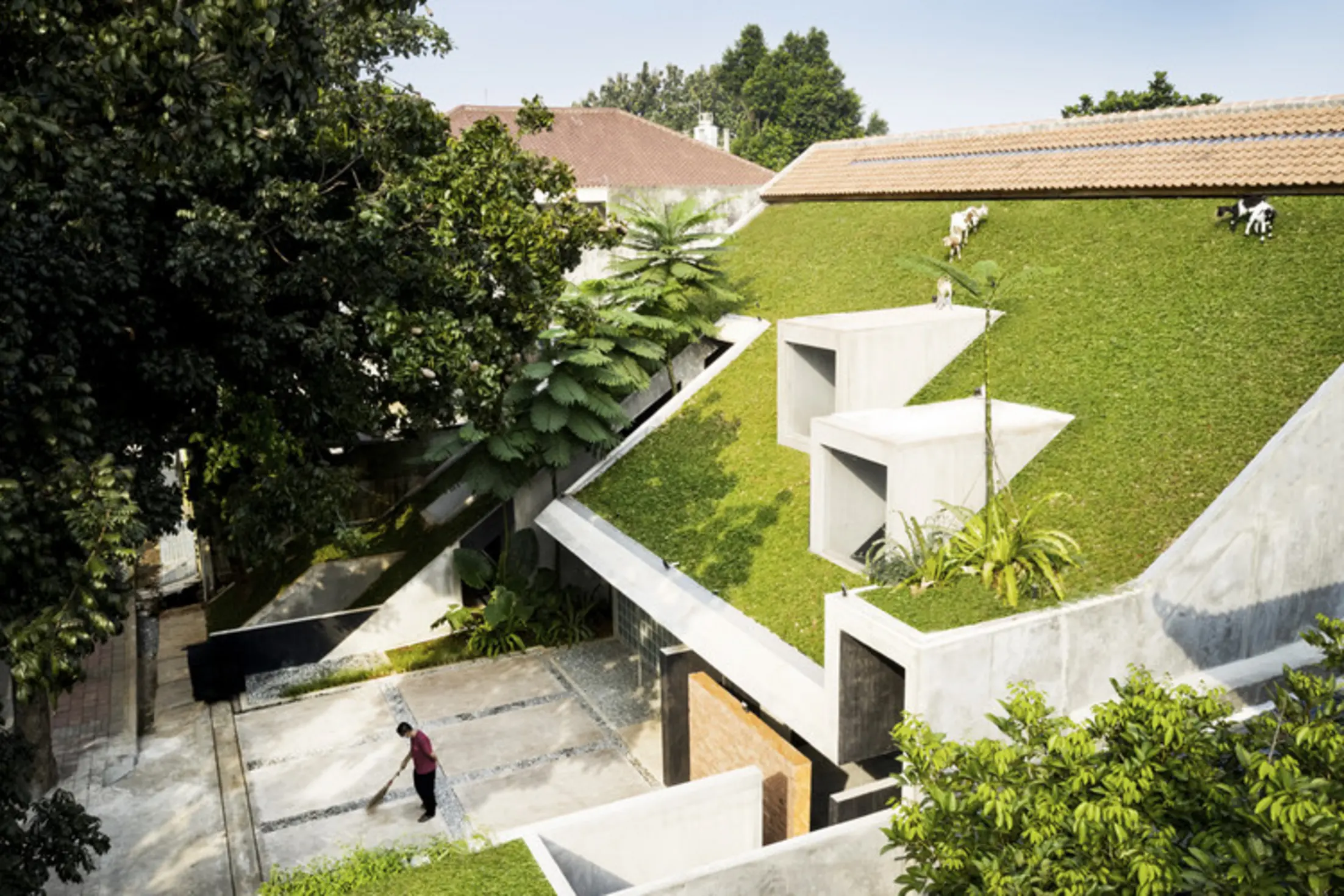 Micro Tropicality, RAD+ar HQ, Jakarta, Indonesia