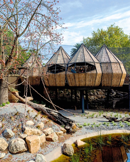 Lemur Exhibit at Melbourne, Melbourne