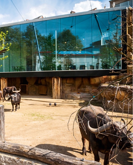 Aviary and Restaurant At the Antwerp Zoo