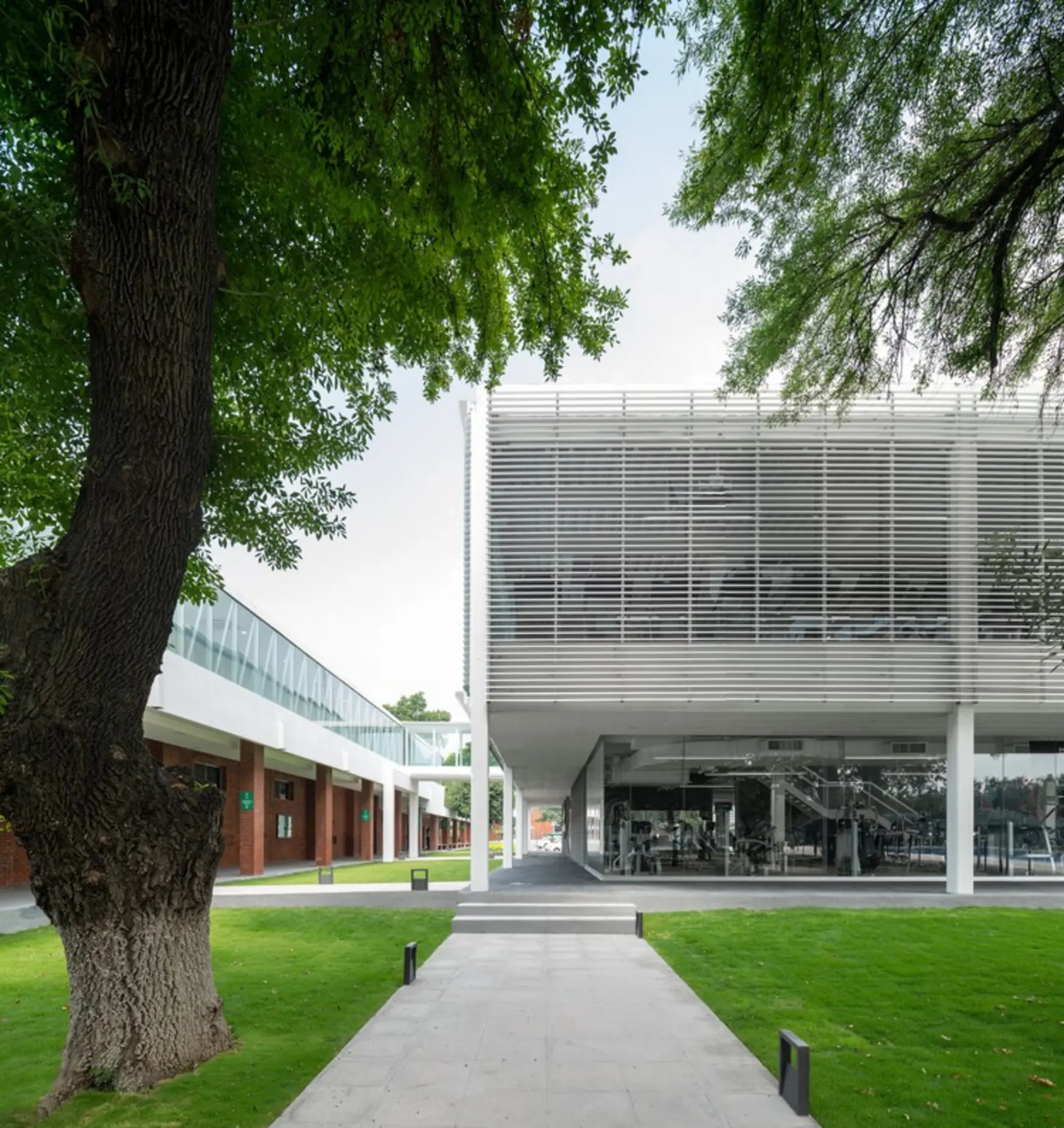 Heineken Sports Center, Monterrey, Mexico