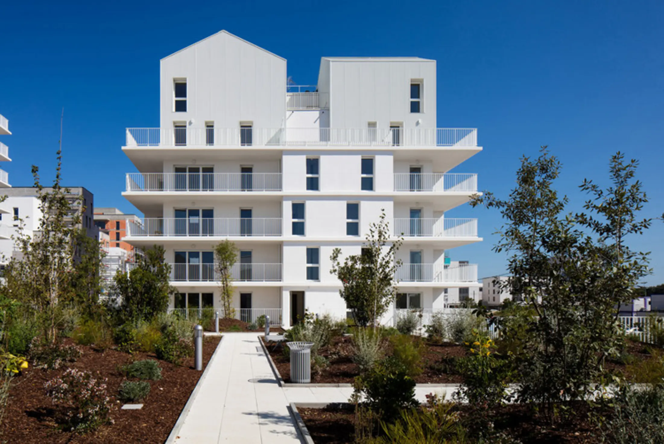 Ginko, Bordeaux, France