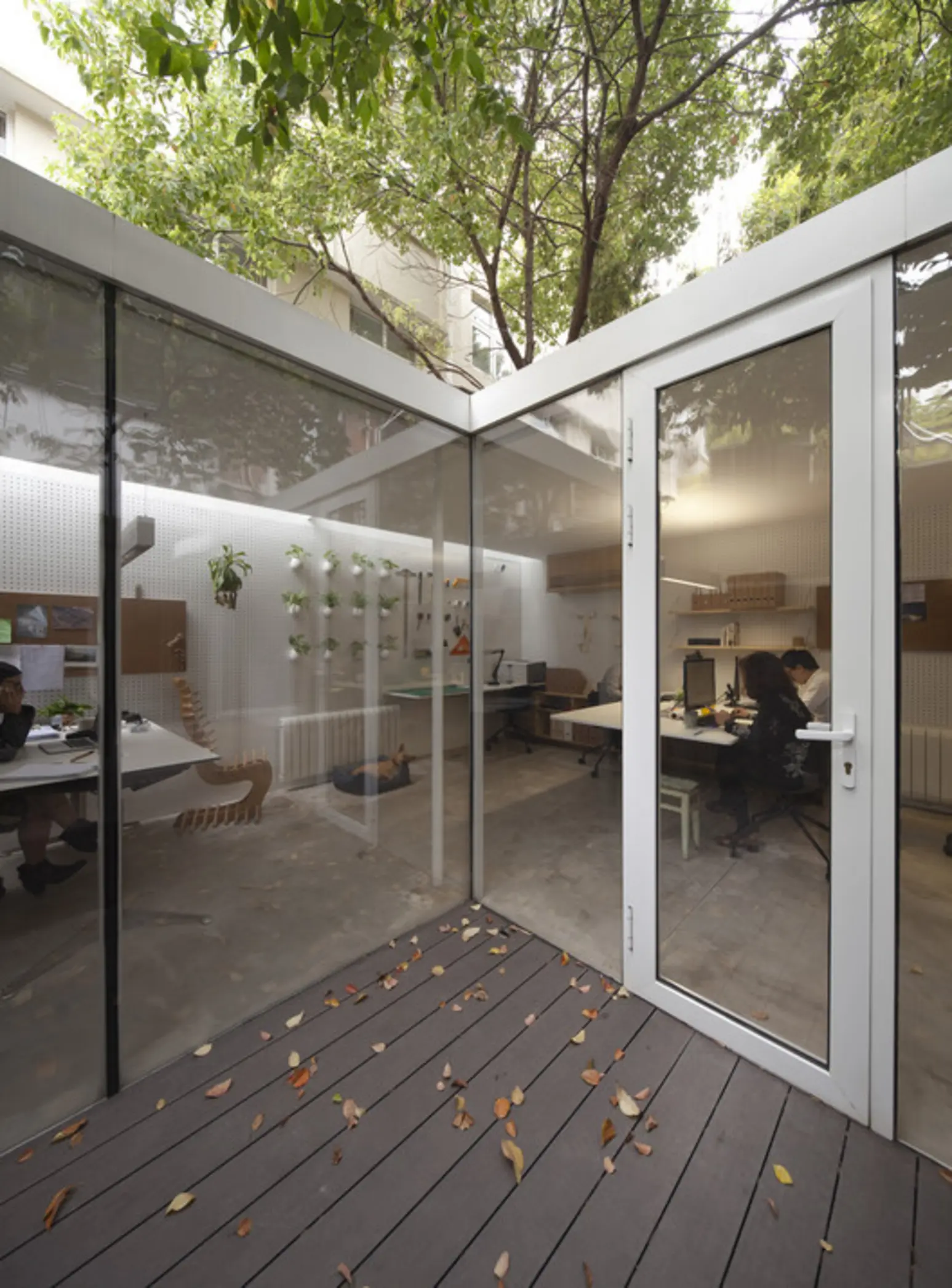 Office around a Tree, Shanghai