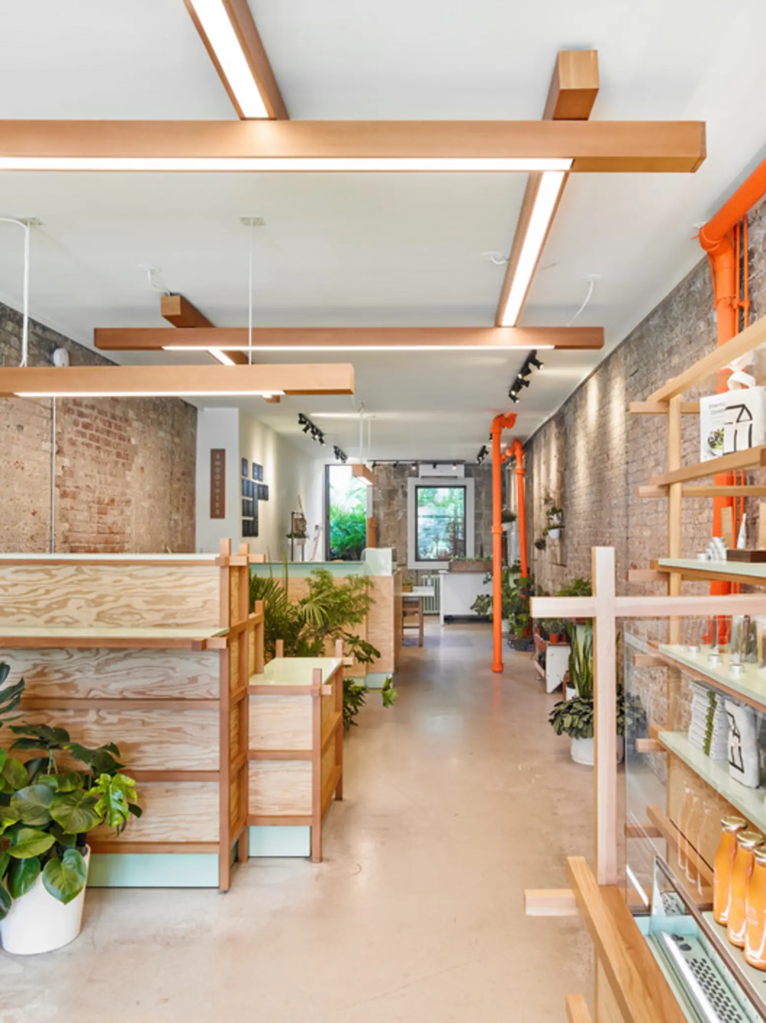 Down the Rabbit Hole Store, Toronto