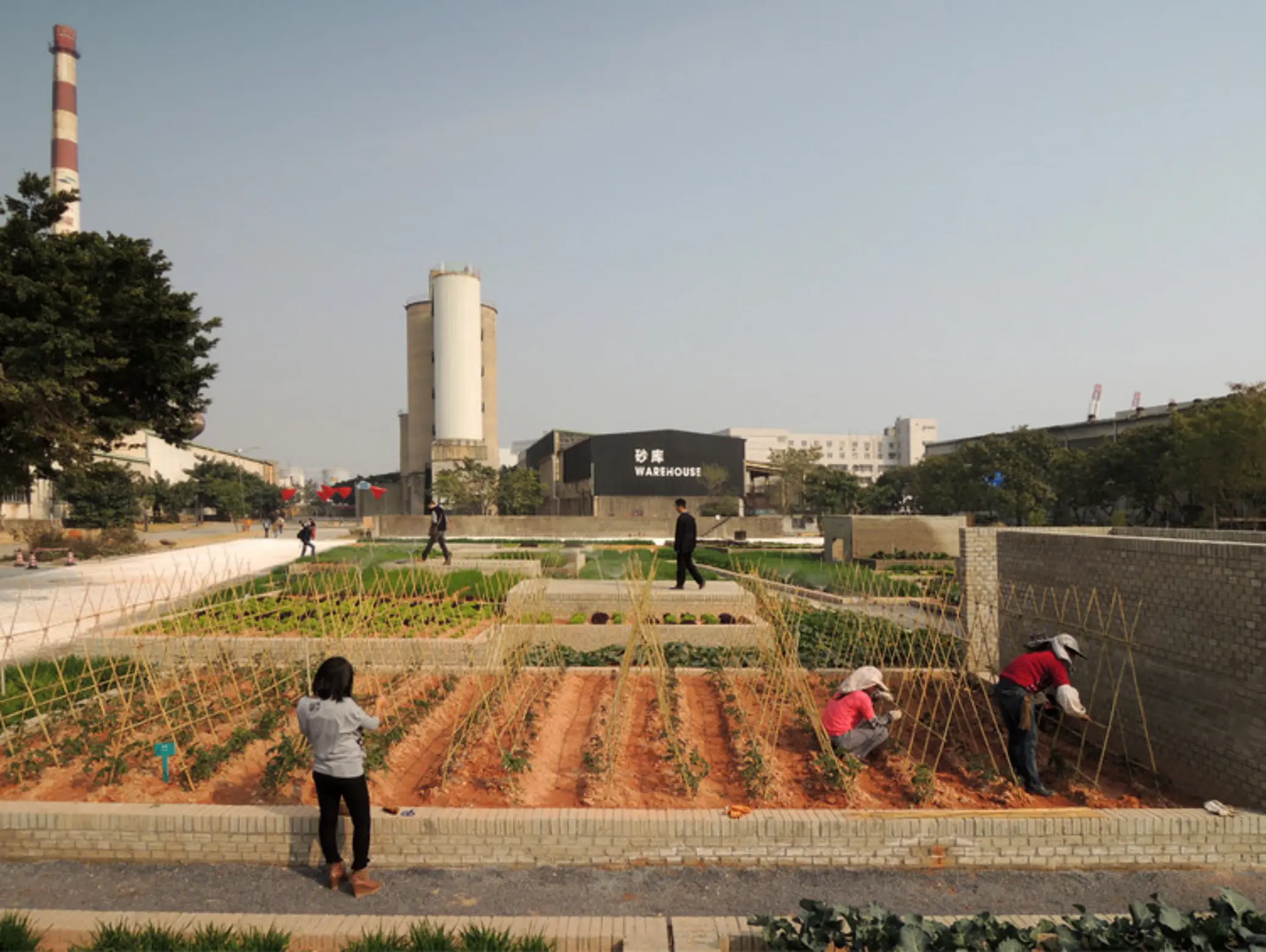 Value Farm, Shenzhen, China