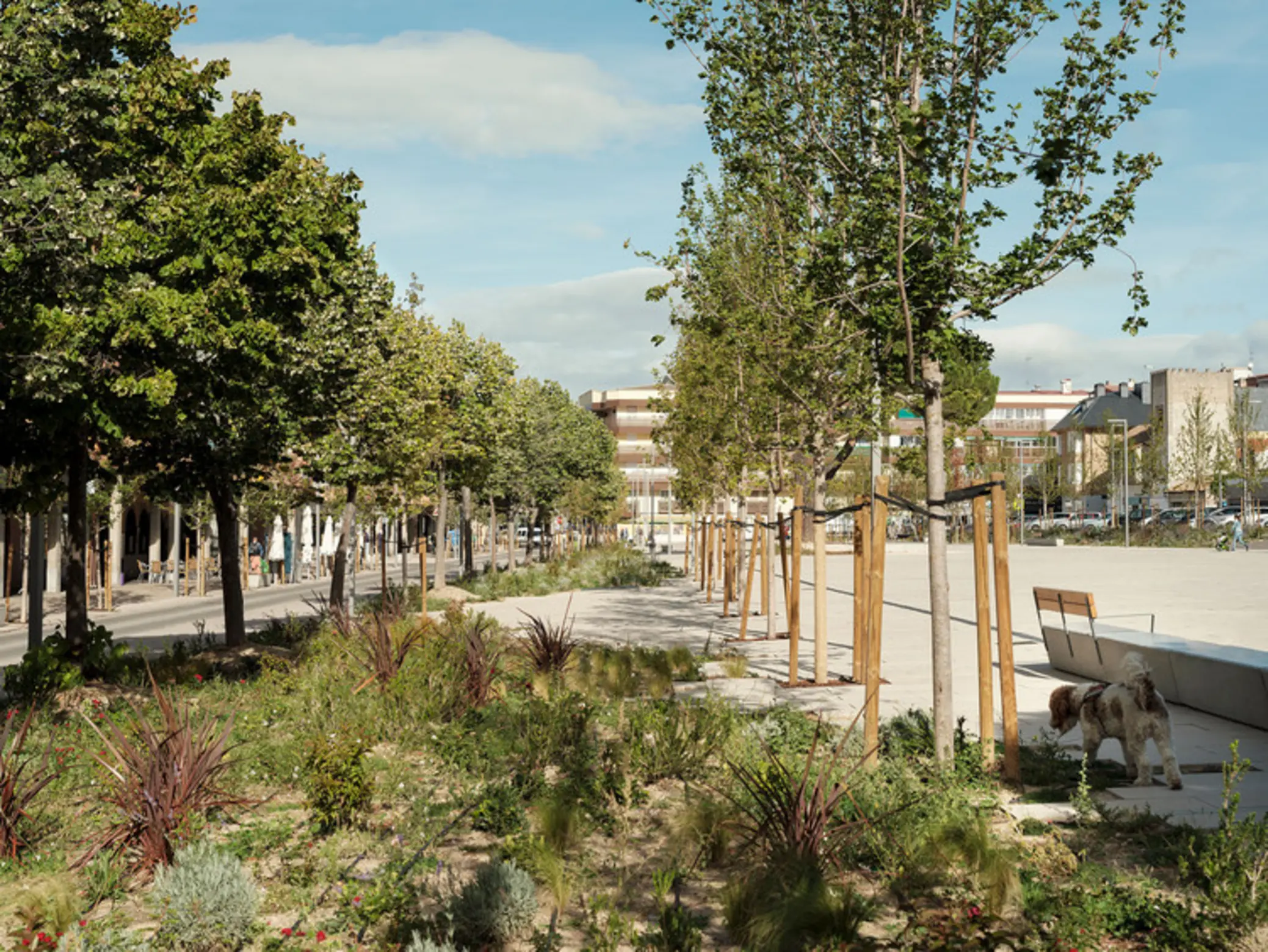 Remodeling of the Plaza de los Belgas, Collado Villalba, Spain