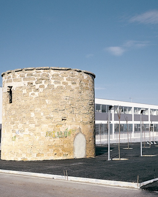 Tomás Iglesias Public School