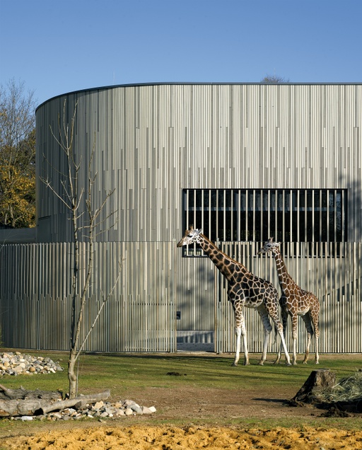 Enclosure for Giraffes and Zebras