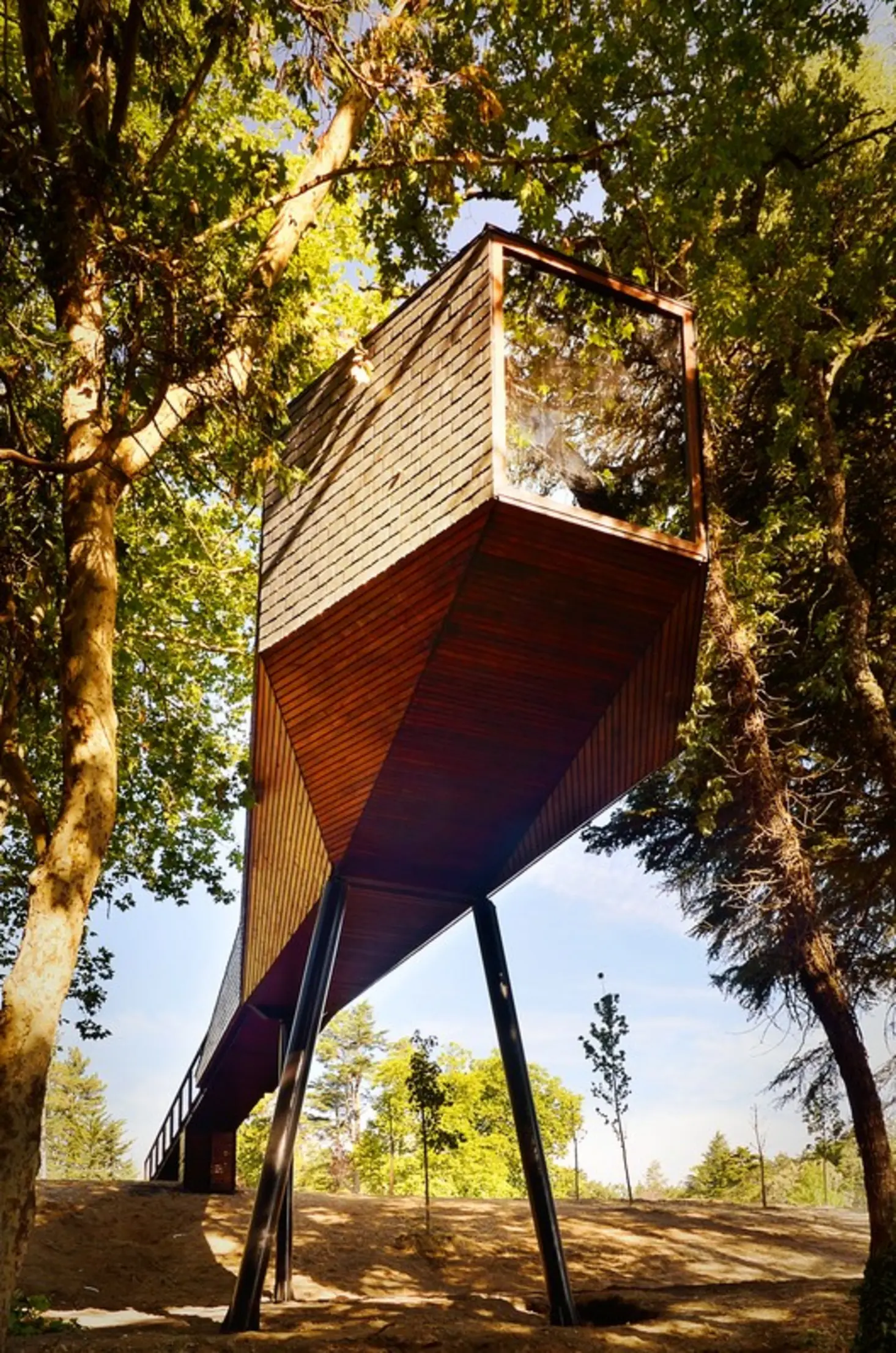 Tree Snake Houses, Bornes De Aguiar