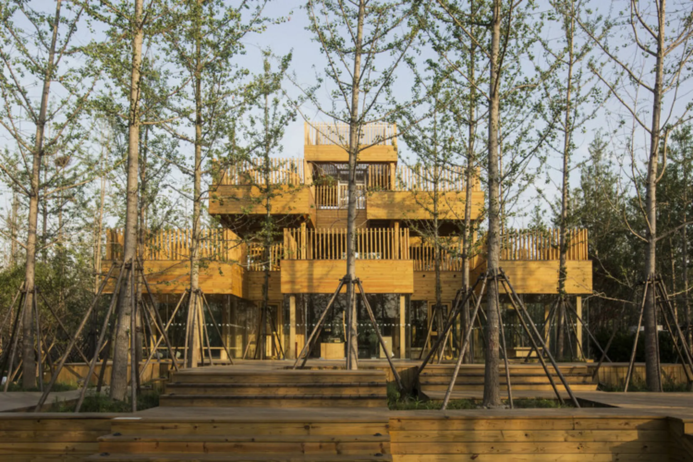 Ginkgo Tea House, Jiaxing, China