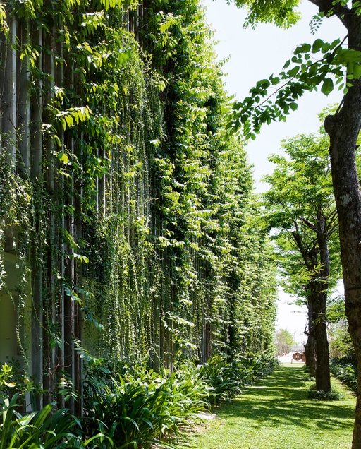 Naman Retreat the Babylon