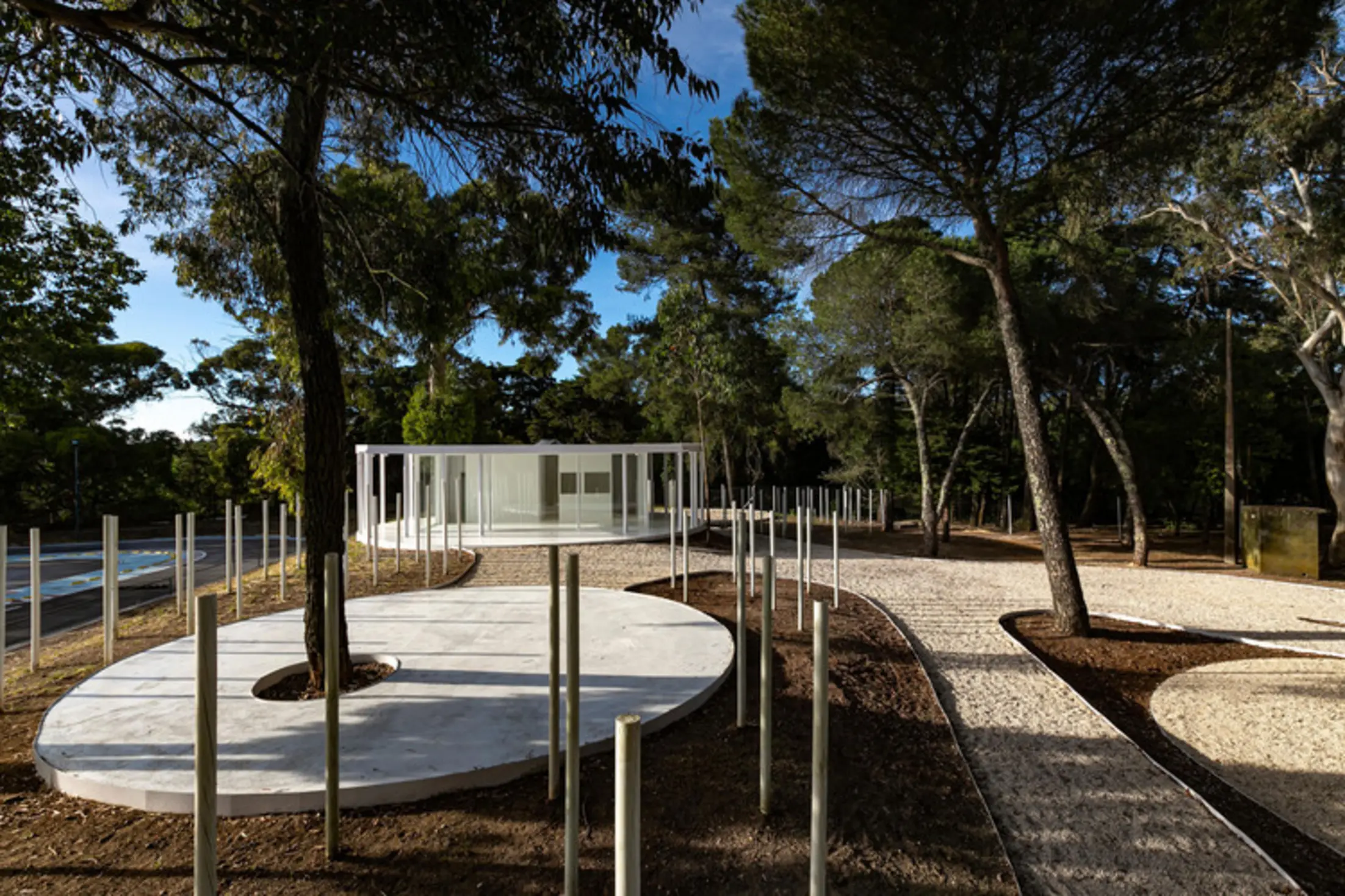 White Forest in Monsanto, Lisboa, Portugal