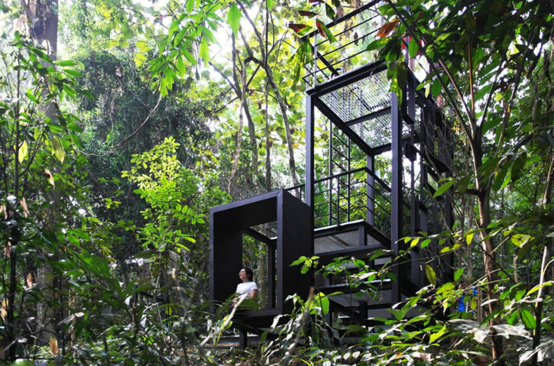 Nature’s Catalog, Kuala Lumpur, Malaysia