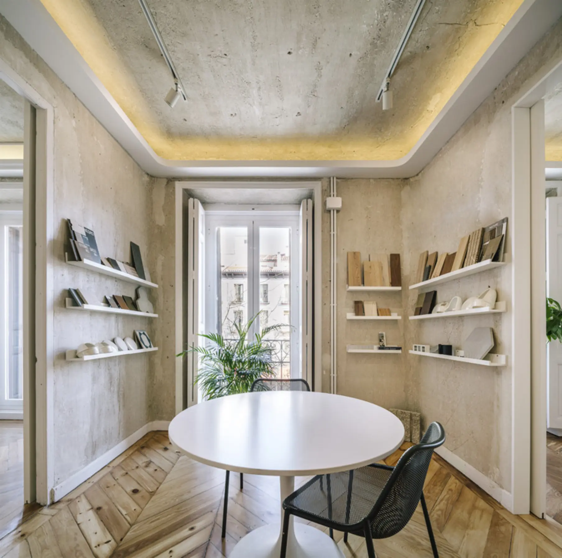 ZOOCO, Madrid, Spain