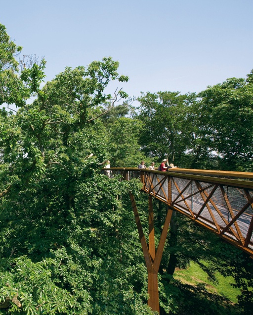 Xstrata Walkway in the Royal Botanic Gardens of Kew