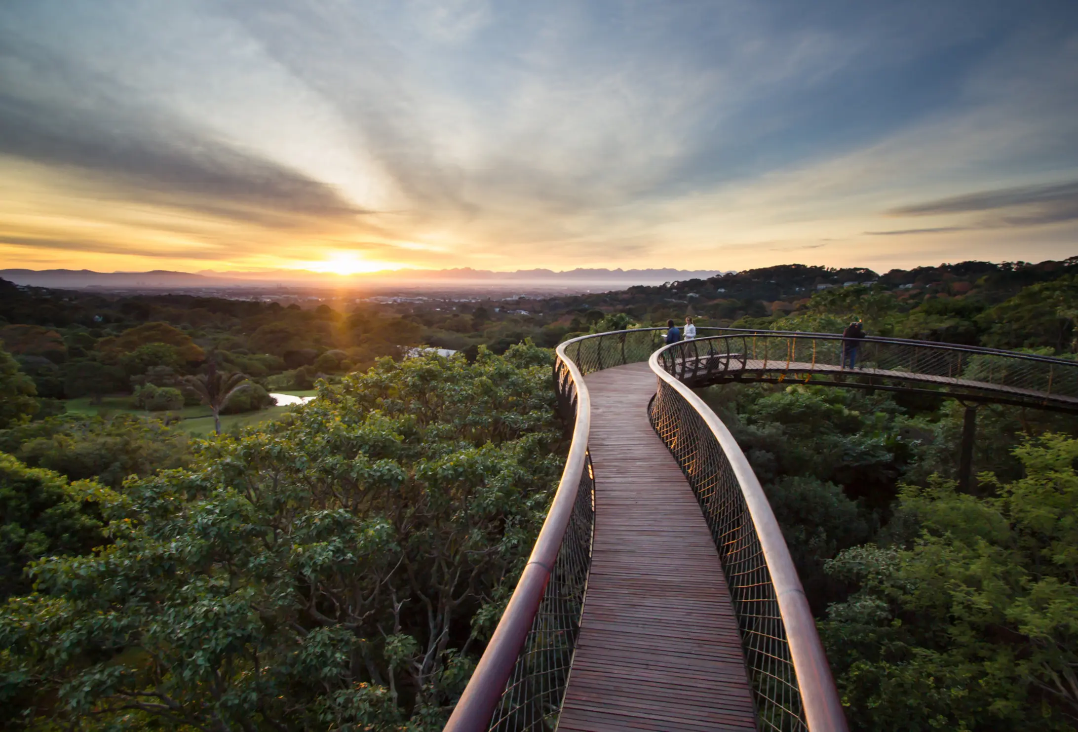 Kirstenbosch Centenary tree canopy walkway, Cape Town, South Africa