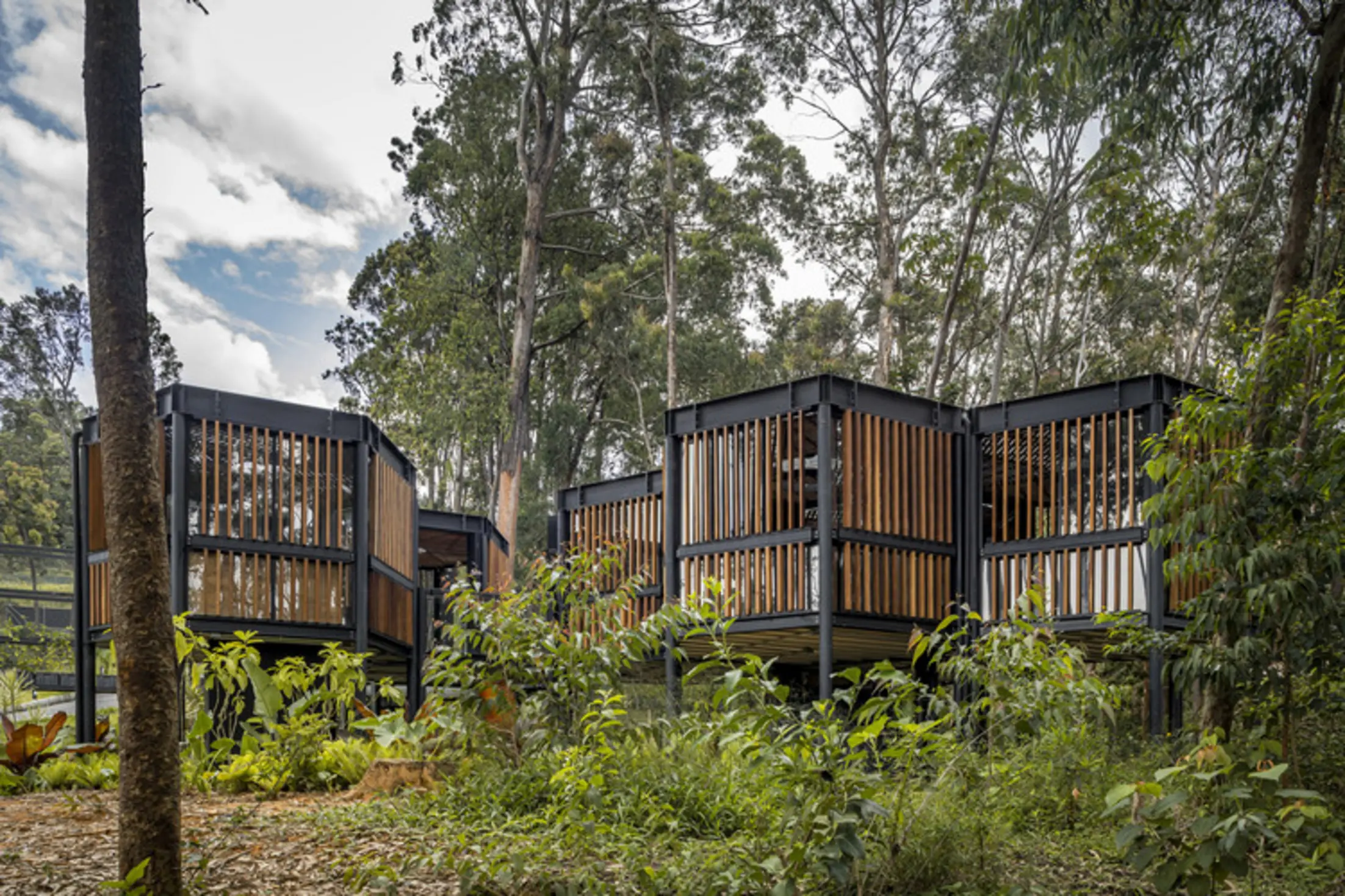 Contree Experience Room, Medellin, Colombia