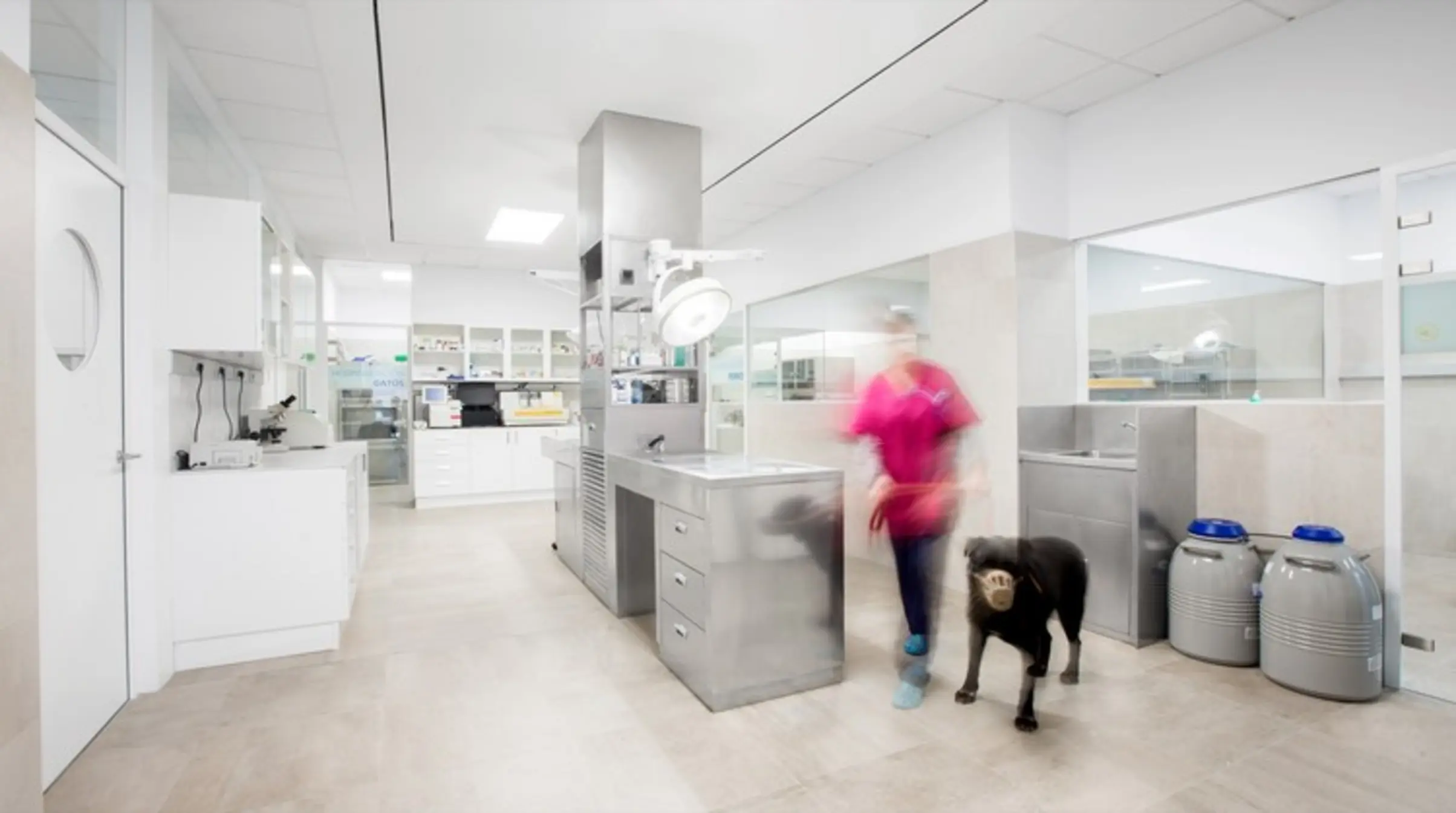 Constitución Veterinary, Valencia, Spain