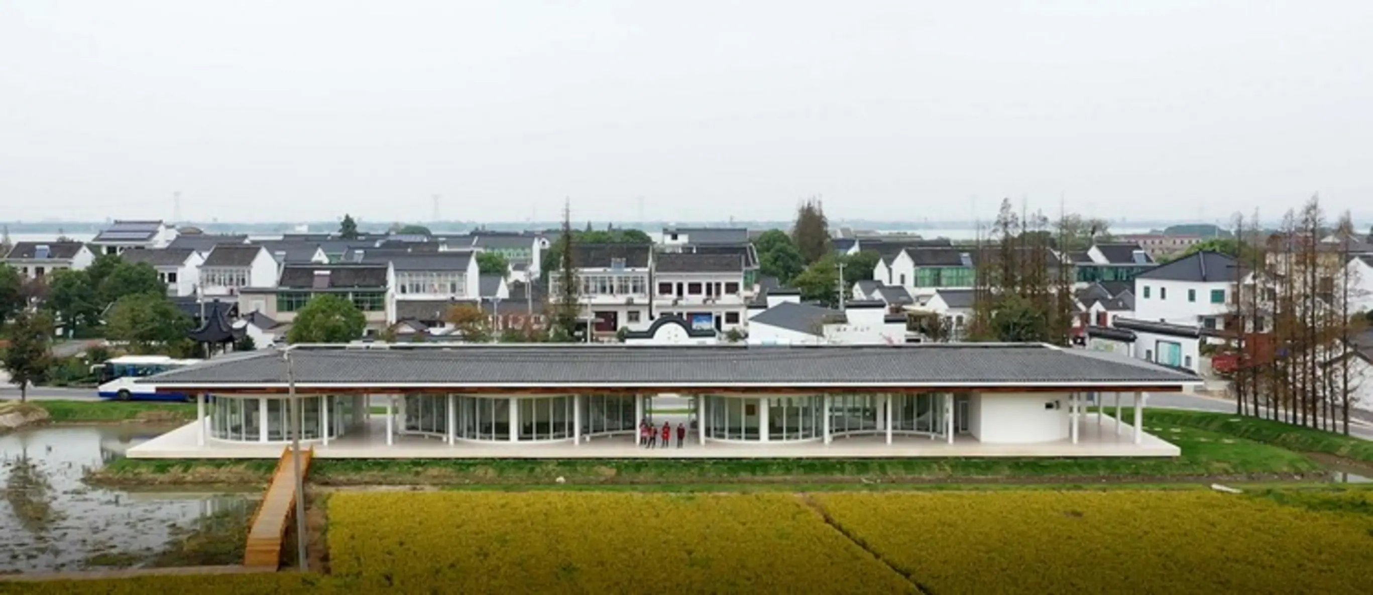 The Water Margin of Zhenze Wetland Park, Suzhou, China