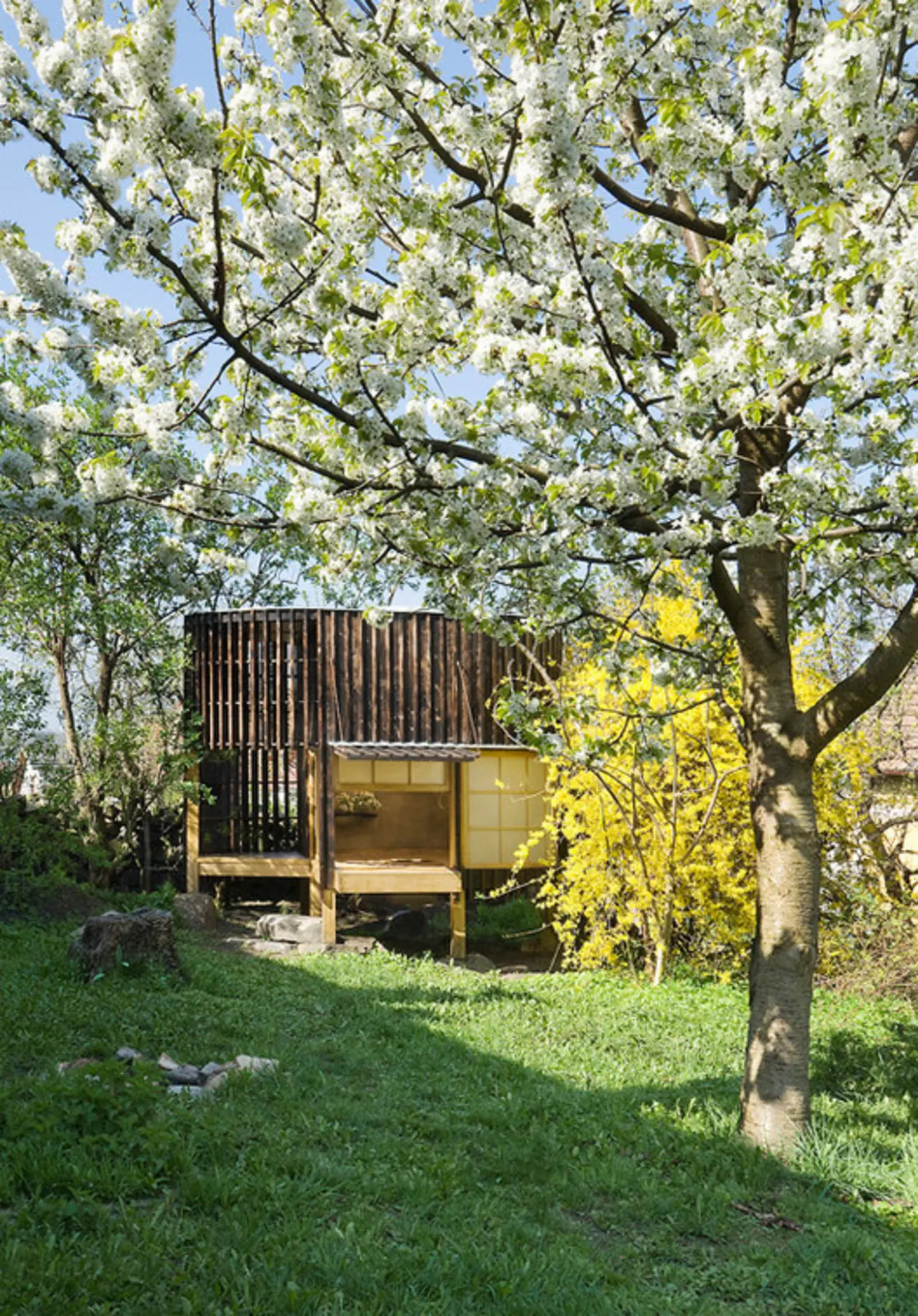 Teahouse, Prague, Czech Republic