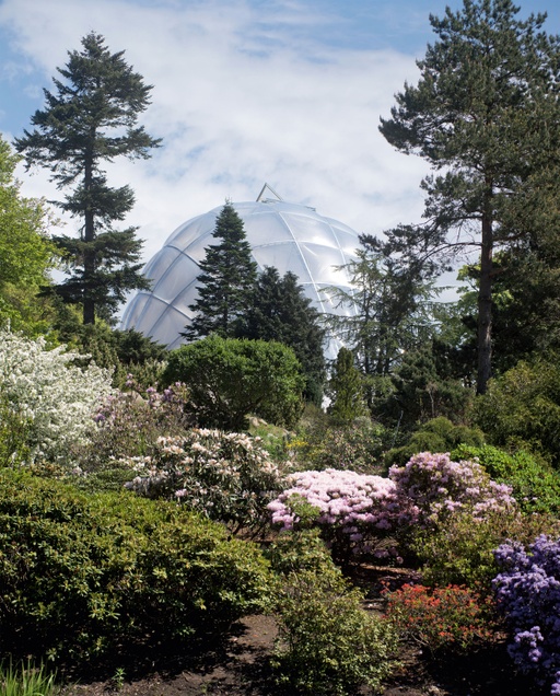 Greenhouse in the Botanical Gardens of Aarhus