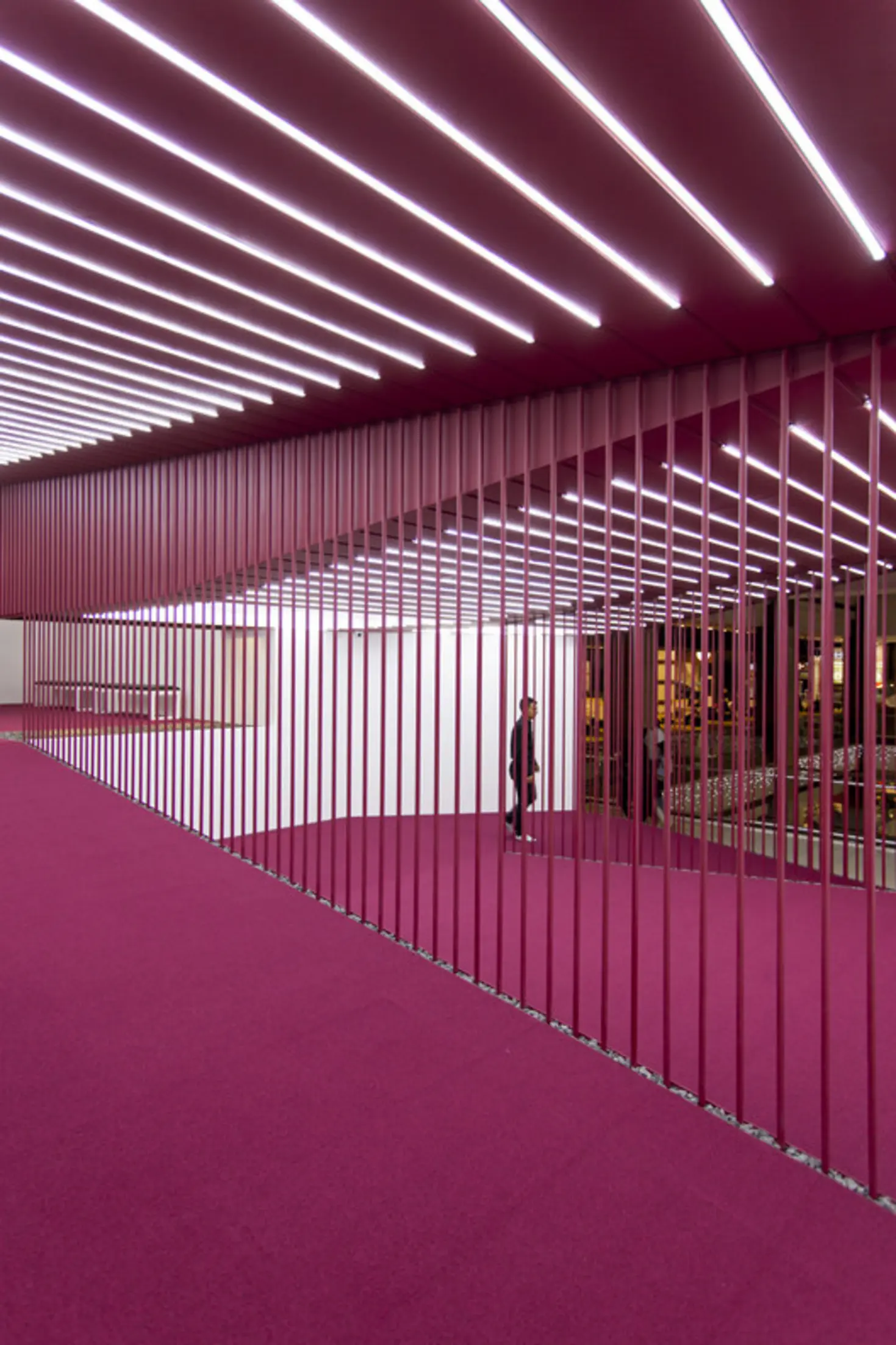 Crimson Sequence, Tehran, Iran