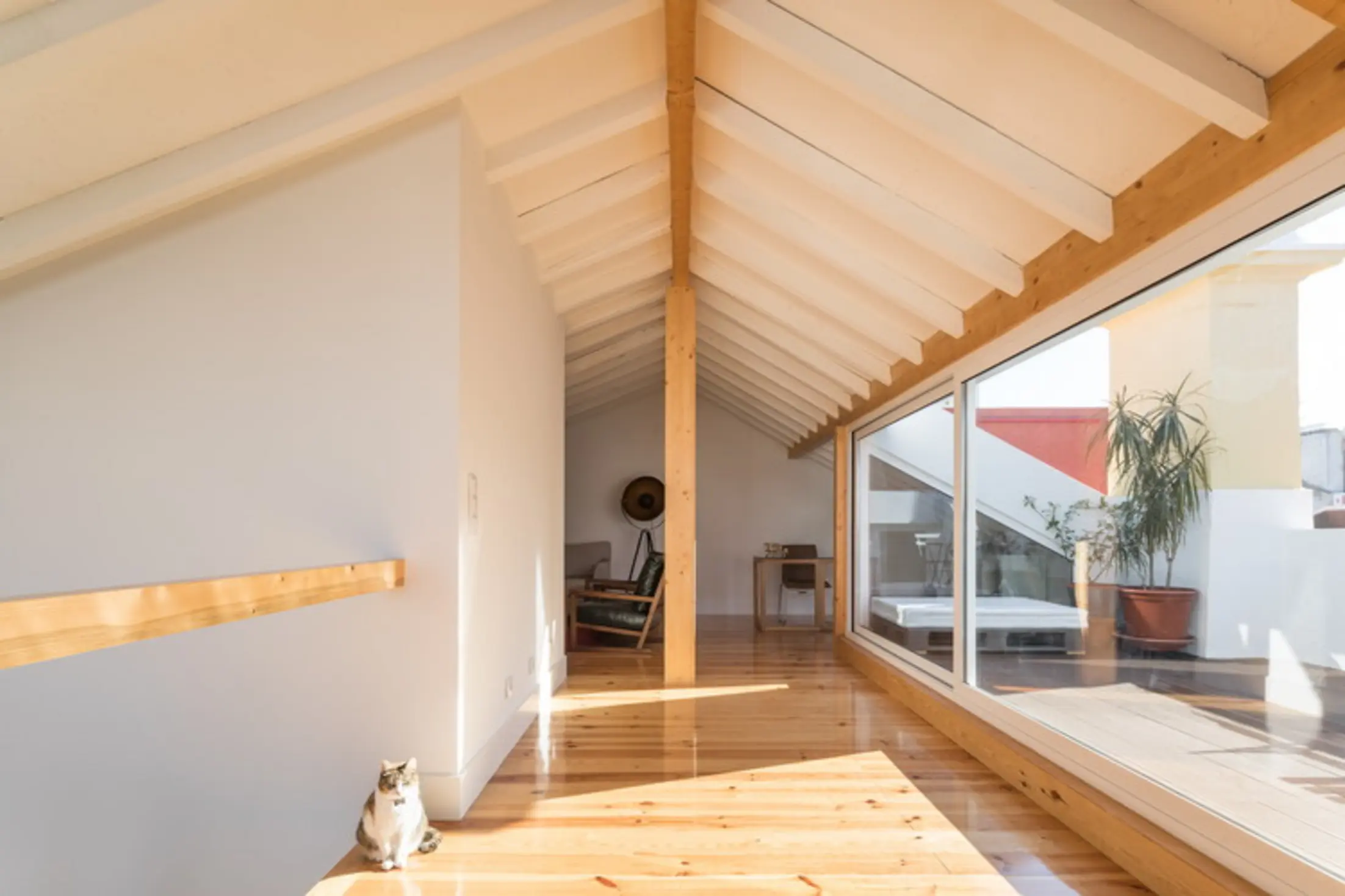 CT 37, Lisbon, Portugal