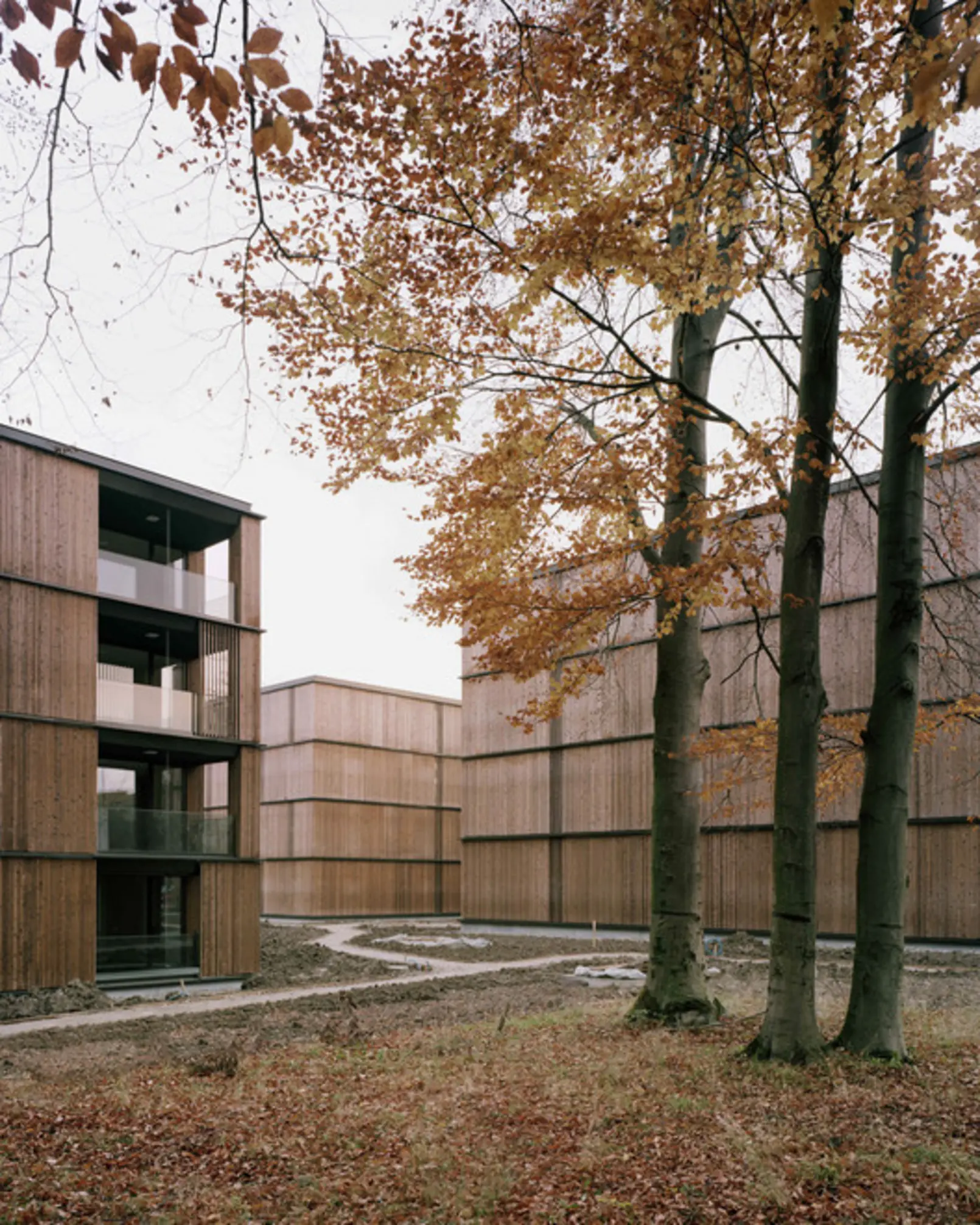 Escherpark by e2a: E2A (2015) — Zürich, Switzerland