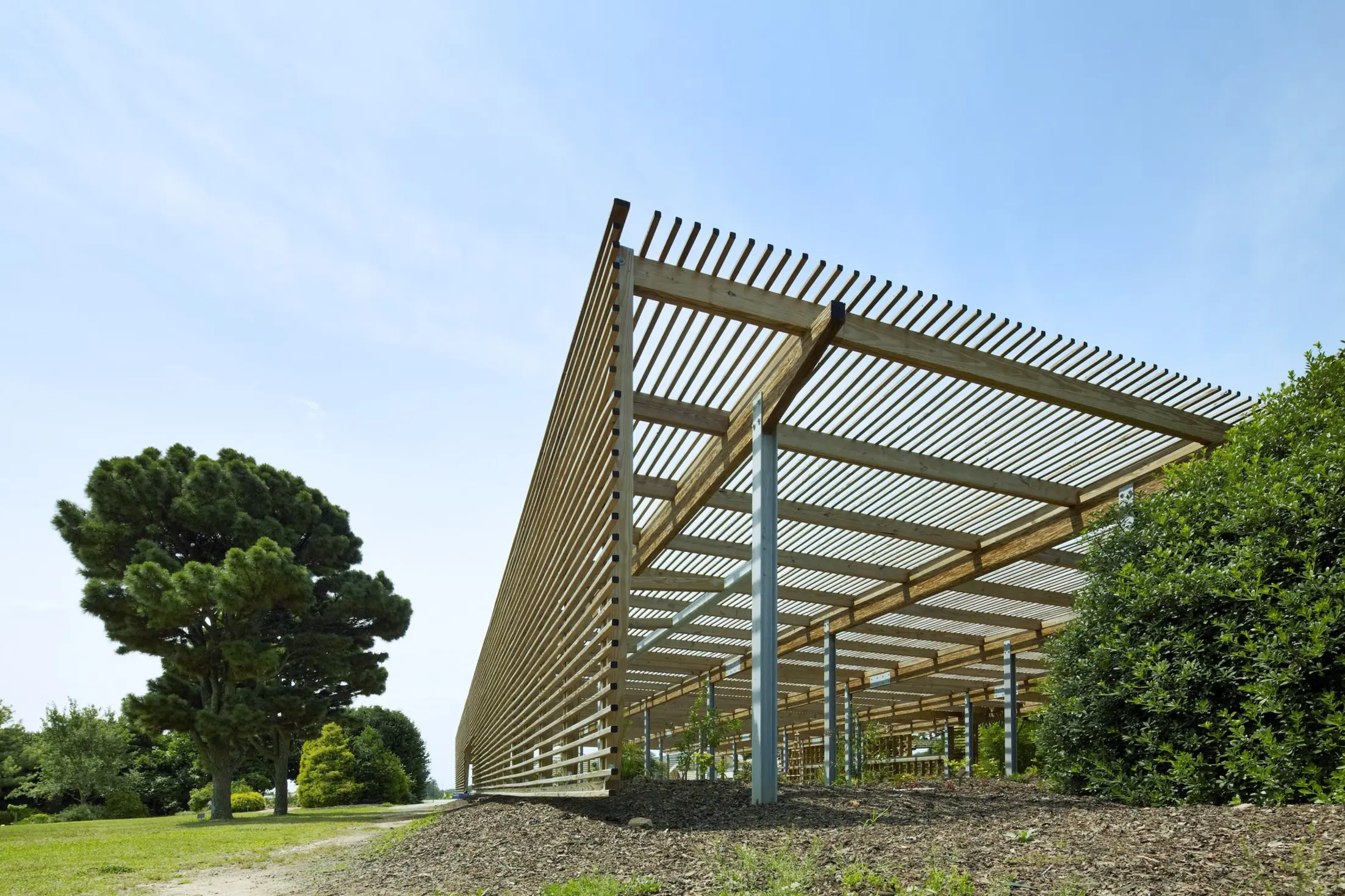 JC Raulston Arboretum Lath House, Raleigh