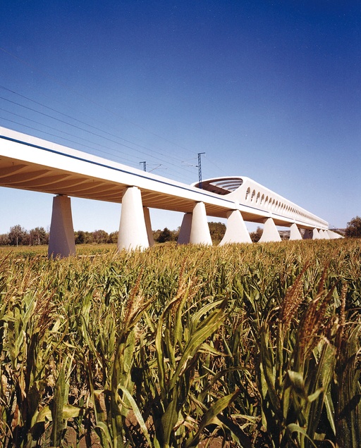 Bridge for the High Speed Train