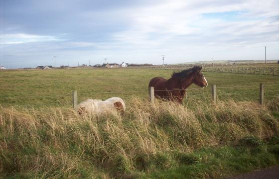 Land for sale in ScotlandChoice of 4 house building plots situated in t photo