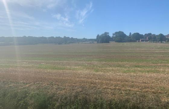 Plot with PP for sale in Thurlby photo