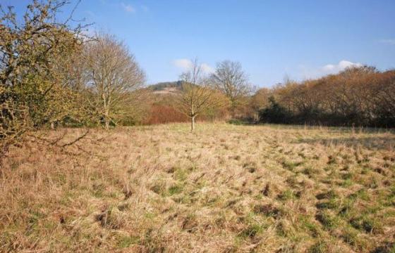 Land for sale in Somerton, Somerset photo