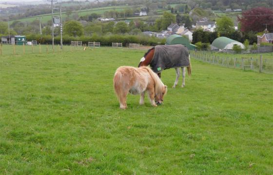 Land for sale in Llanfihangel-Ar-Arth photo