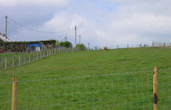 Land for sale in Llanfihangel-Ar-Arth photo
