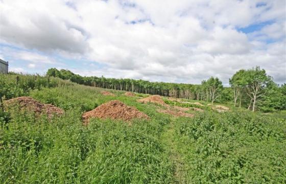 Land for sale in Lisburn, County Antrim photo