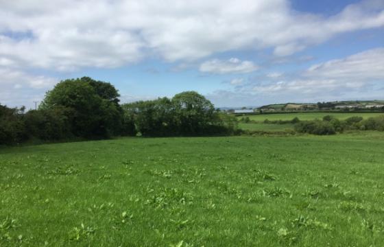 Land for sale in Kircubbin, County Down photo